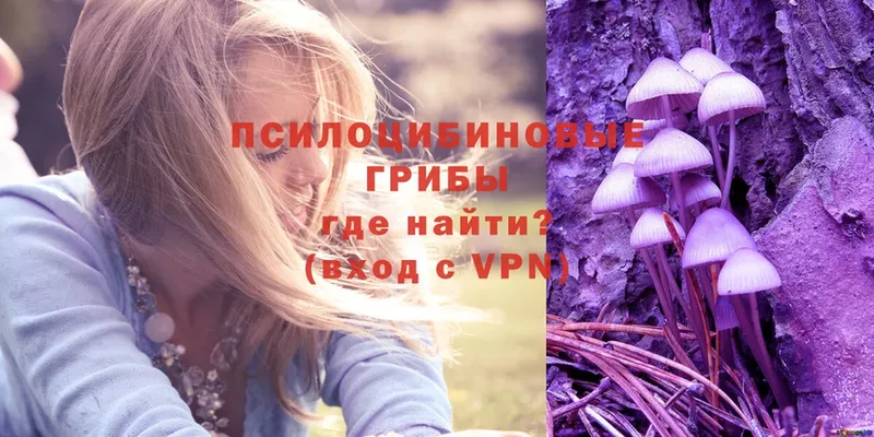 купить наркотики сайты  Харовск  Псилоцибиновые грибы Psilocybe 